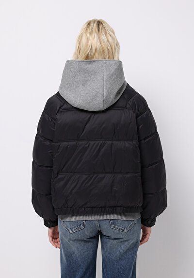 اعرض التفاصيل لـ أسود للنساء جاكيت