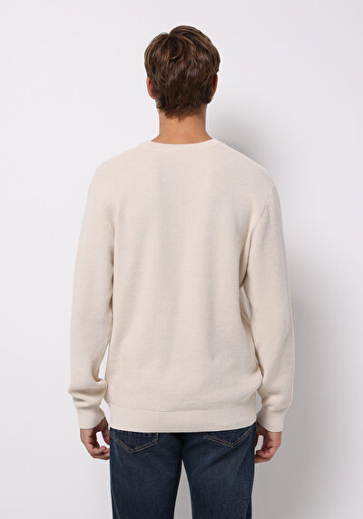 صورة من بيج فاتح للرجال بلوفر