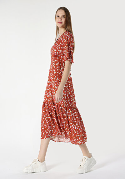 صورة من بني للنساء فستان