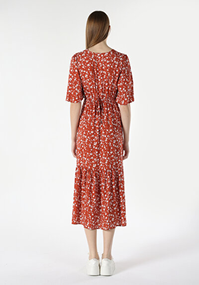 صورة من بني للنساء فستان