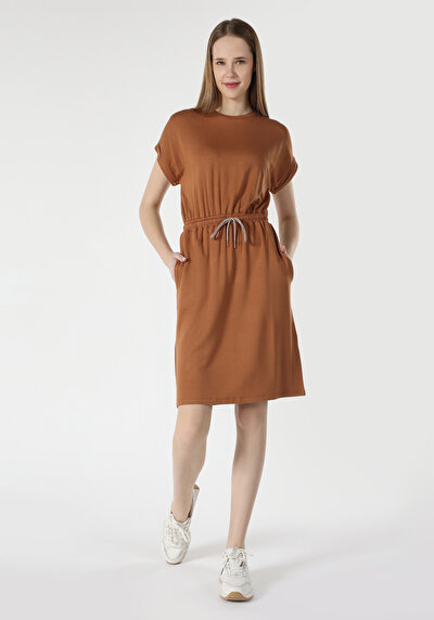 صورة من مستقيم نسائي بني فستان قصير الأكمام