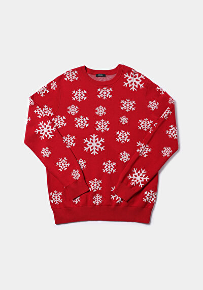 اعرض التفاصيل لـ أحمر للرجال بلوفر