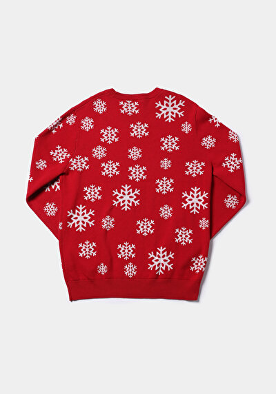 اعرض التفاصيل لـ أحمر للرجال بلوفر