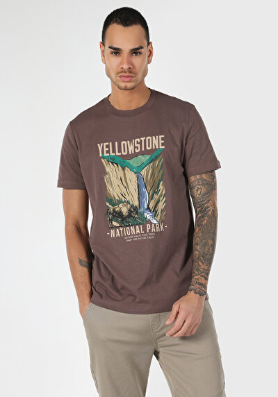 صورة من قصة عادية رقبة مستديرة مستقيم رجالي بني كم قصير تي شيرت