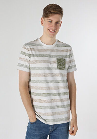 صورة من   رقبة مستديرة مخطط للرجال تي شيرت أخضر قصير الأكمام