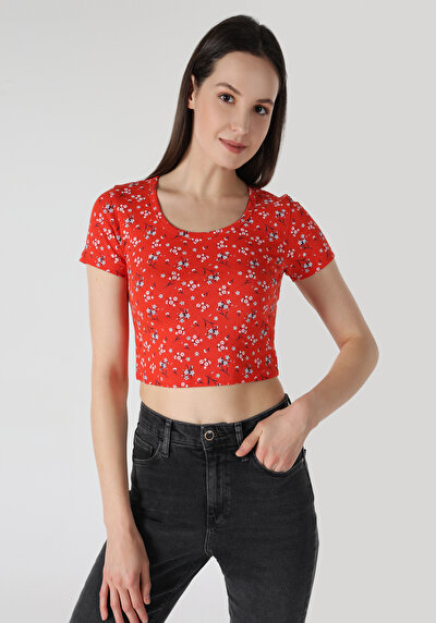 صورة من ضيق قصة رقبة مستديرة أزهار نسائي أحمر كم قصير تي شيرت