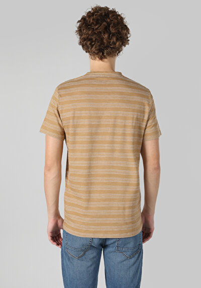 صورة من عادي مقاس رقبة مستديرة مخطط تي شيرت رجالي بيج بأكمام قصيرة