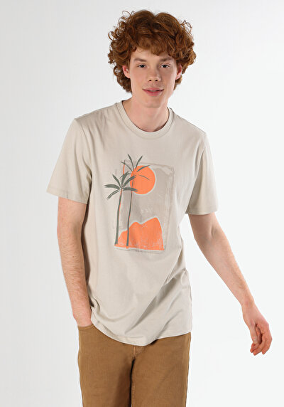 اعرض التفاصيل لـ مقاس عادي رقبة مستديرة مستقيم تي شيرت رجالي بيج كم قصير