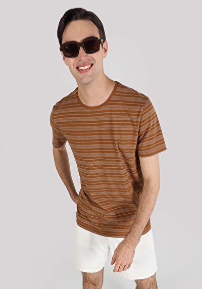 صورة من تي شيرت رجالي بني بأكمام قصيرة بياقة مستديرة مقاس عادي
