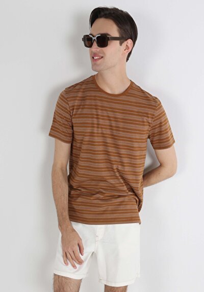 اعرض التفاصيل لـ تي شيرت رجالي بني بأكمام قصيرة بياقة مستديرة مقاس عادي