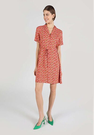 اعرض التفاصيل لـ فستان نسائي متعدد الألوان Slim Fit