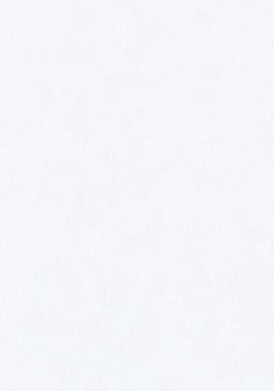 اعرض التفاصيل لـ أبيض للنساء تي شيرت بأكمام قصيرة