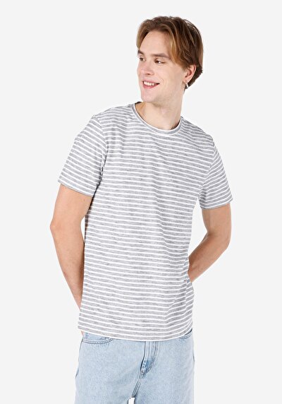 صورة من   رقبة مستديرة مخطط رجالي رمادي كم قصير تي شيرت