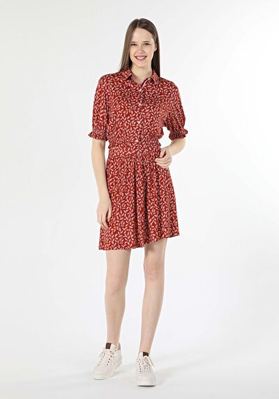 صورة من تنوب عادي مطبوع تنورة نسائية بنية