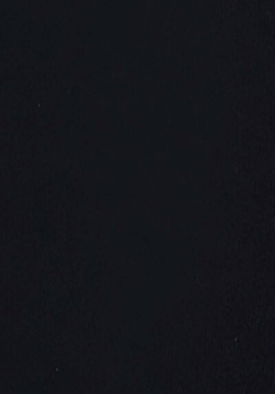 اعرض التفاصيل لـ عادي مقاس رقبة مستديرة نسائي أسود كم قصير تي شيرت