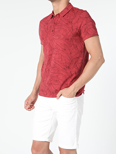 صورة من  للرجال قميص بولو  كم قصير