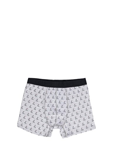 صورة من رمادي للرجال ملابس داخلية