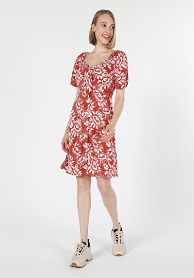 صورة من فستان نسائي بني ضيق