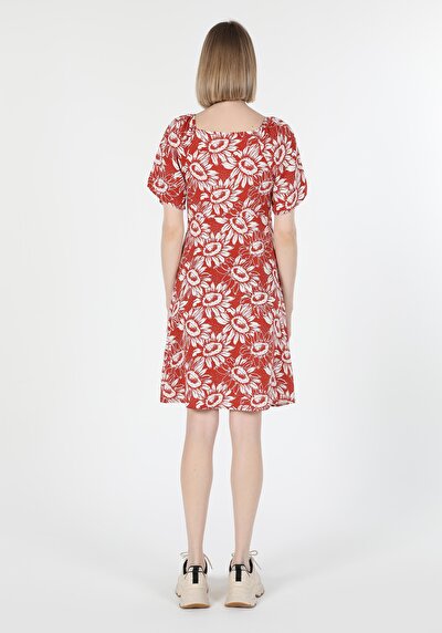 صورة من فستان نسائي بني ضيق