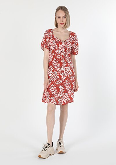 صورة من فستان نسائي بني ضيق