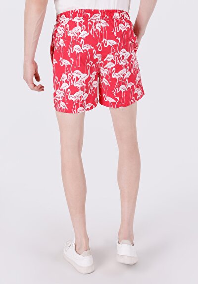 صورة من شورت سباحة أحمر بطبعة رجالية ضيقة