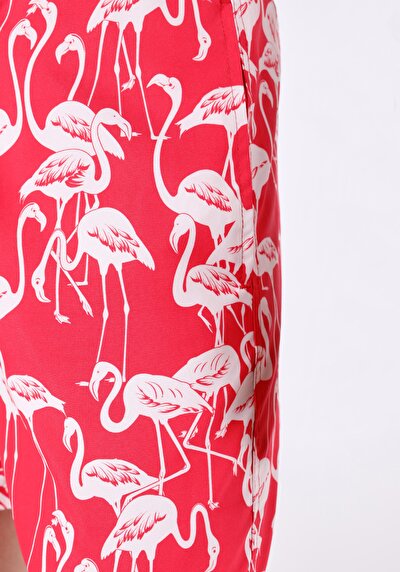 صورة من شورت سباحة أحمر بطبعة رجالية ضيقة