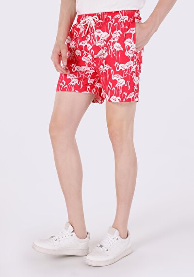 اعرض التفاصيل لـ شورت سباحة أحمر بطبعة رجالية ضيقة