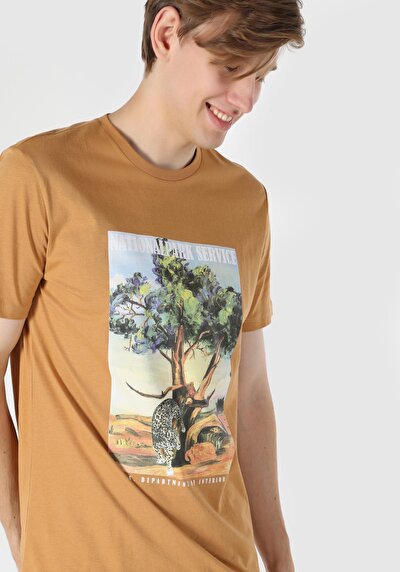 صورة من قصة عادية رقبة مستديرة تي شيرت رجالي بني بأكمام قصيرة