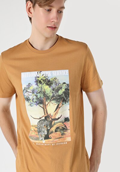 اعرض التفاصيل لـ قصة عادية رقبة مستديرة تي شيرت رجالي بني بأكمام قصيرة