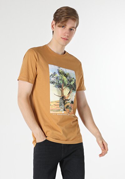 اعرض التفاصيل لـ قصة عادية رقبة مستديرة تي شيرت رجالي بني بأكمام قصيرة