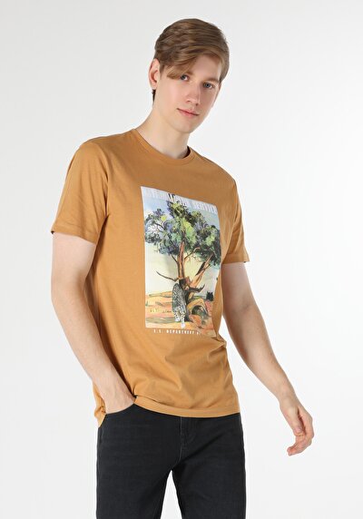 صورة من قصة عادية رقبة مستديرة تي شيرت رجالي بني بأكمام قصيرة