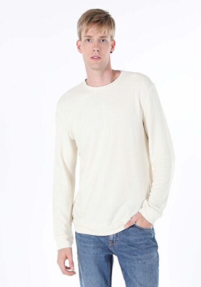 صورة من   رقبة مستديرة مستقيم رجالي بيج كم طويل تي شيرت