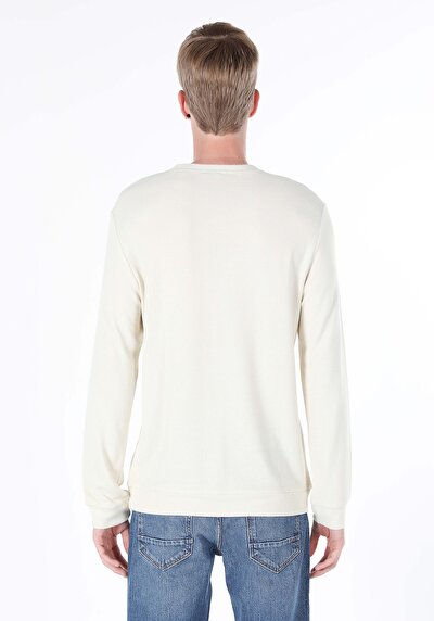 صورة من رقبة مستديرة مستقيم رجالي بيج كم طويل تي شيرت