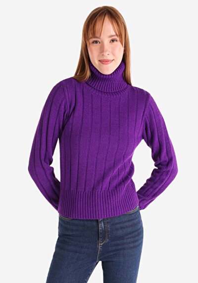 صورة من نحيف رقبة السلحفاة مستقيم نسائي بنفسجي سترة