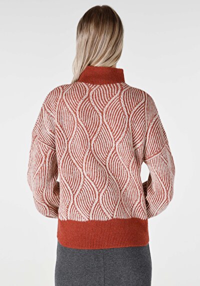 اعرض التفاصيل لـ ضيق  نصف الياقة المدورة جاكار نسائي بني سترة