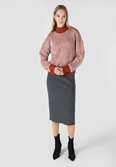 اعرض التفاصيل لـ ضيق  نصف الياقة المدورة جاكار نسائي بني سترة