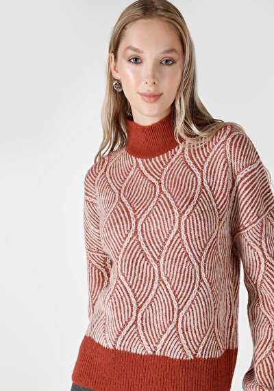 اعرض التفاصيل لـ ضيق  نصف الياقة المدورة جاكار نسائي بني سترة