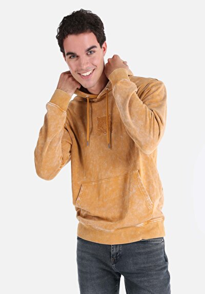 صورة من سويت شيرت ساري رجالي عادي