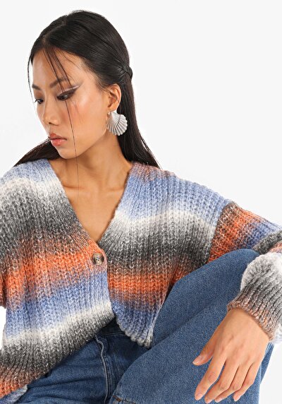 صورة من كارديجان نسائي متعدد الألوان عادي