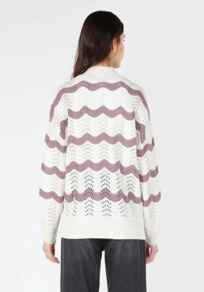 صورة من نصف الياقة المدورة مخطط كنزة بيضاء نسائية