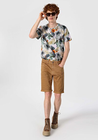 صورة من عادي   الخصر مستقيم شورت بني رجالي