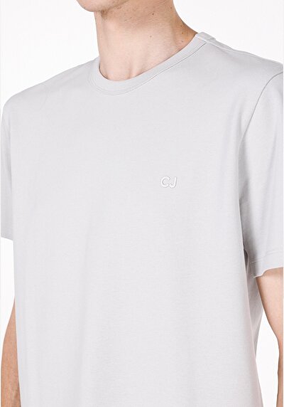 صورة من قصة عادية رقبة مستديرة مستقيم رجالي رمادي كم قصير تي شيرت