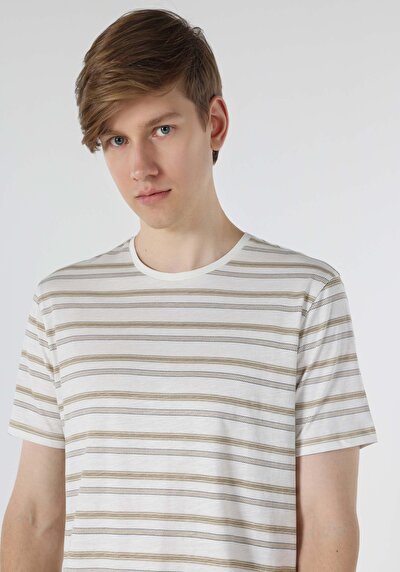 اعرض التفاصيل لـ   رقبة مستديرة مخطط للرجال أبيض بأكمام قصيرة تي شيرت