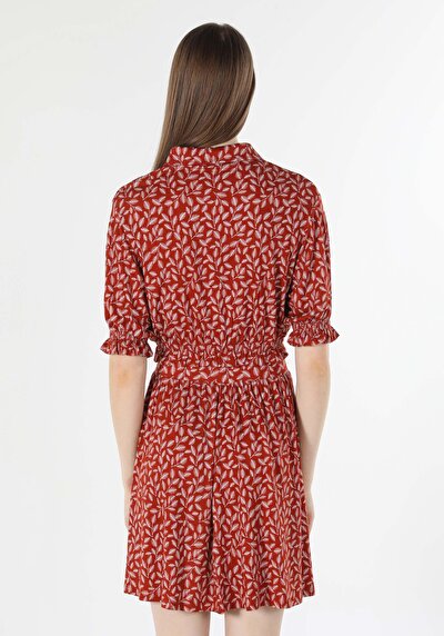 صورة من بني للنساء تي شيرت بأكمام قصيرة