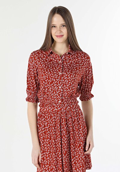 اعرض التفاصيل لـ بني للنساء تي شيرت بأكمام قصيرة