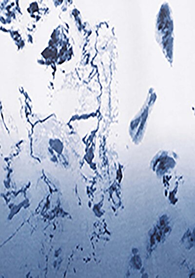 اعرض التفاصيل لـ كومفورت فيت رقبة مستديرة رجالي أبيض بأكمام قصيرة تي شيرت