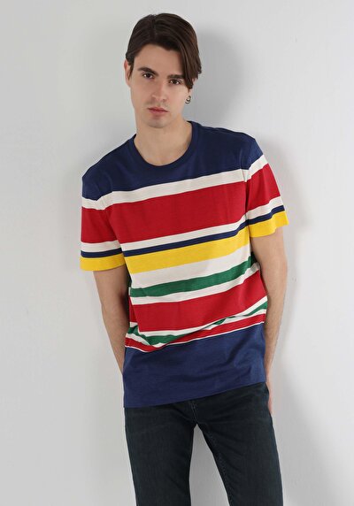 صورة من كومفورت فيت رقبة مستديرة مخطط رجالي متعدد الألوان كم قصير تي شيرت