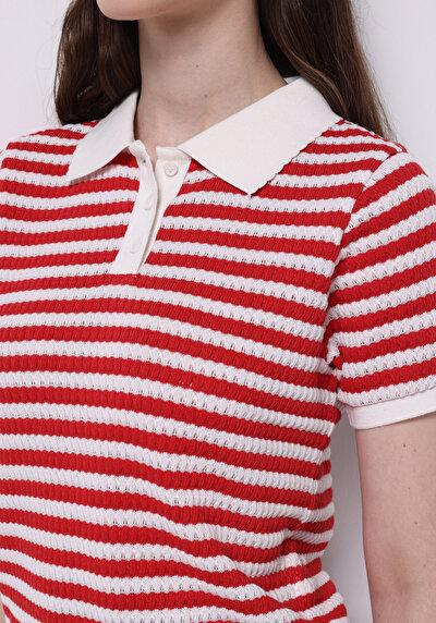صورة من نحيف ياقة بولو مخطط نسائي أحمر كم قصير تي شيرت