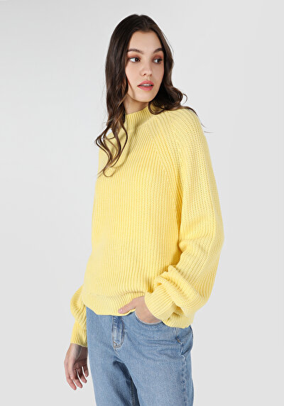 صورة من  عادي برقبة مستديرة نسائي ساري سترة