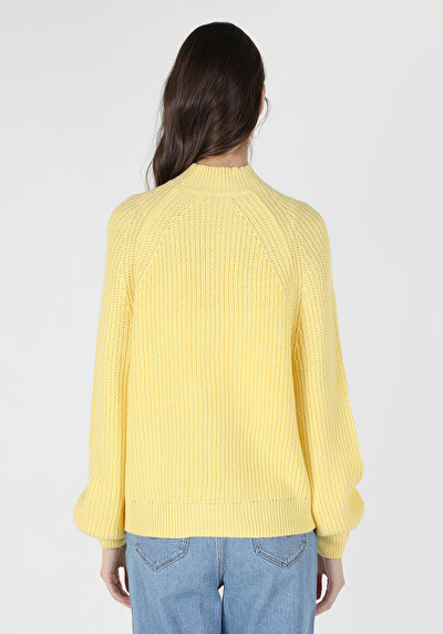 اعرض التفاصيل لـ  عادي برقبة مستديرة نسائي ساري سترة